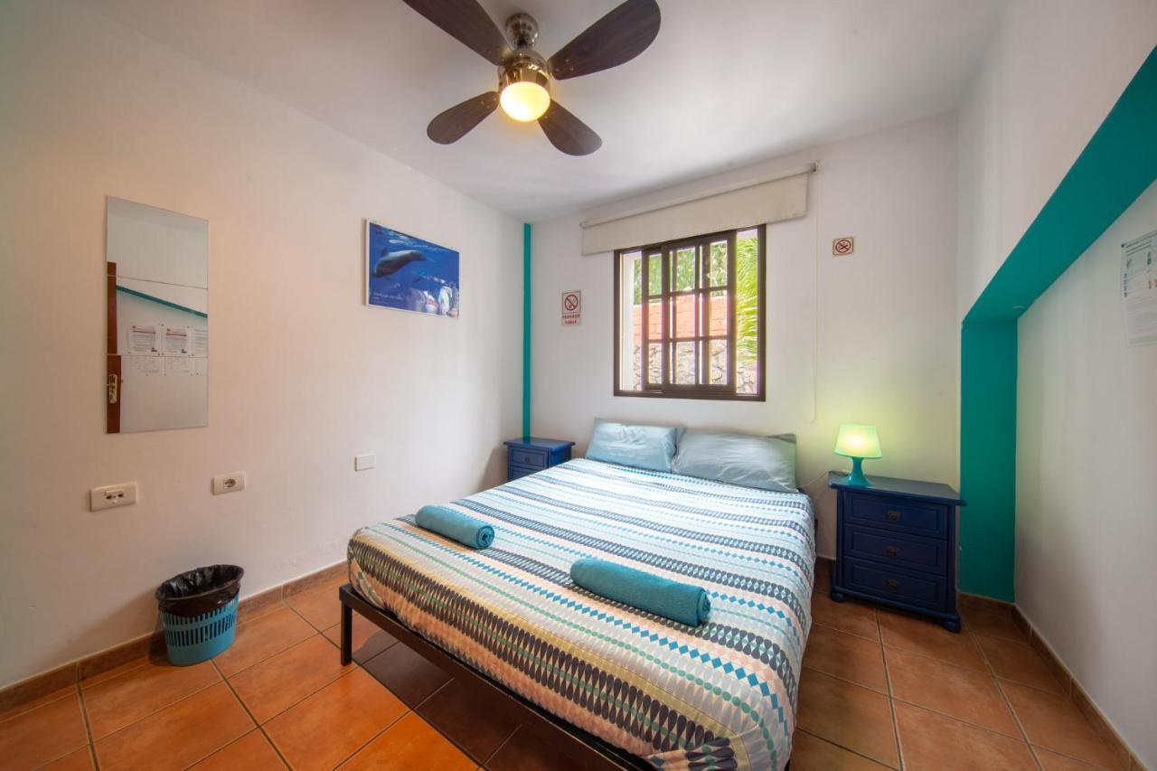 La Tortuga Hostel Costa Adeje  Exterior photo